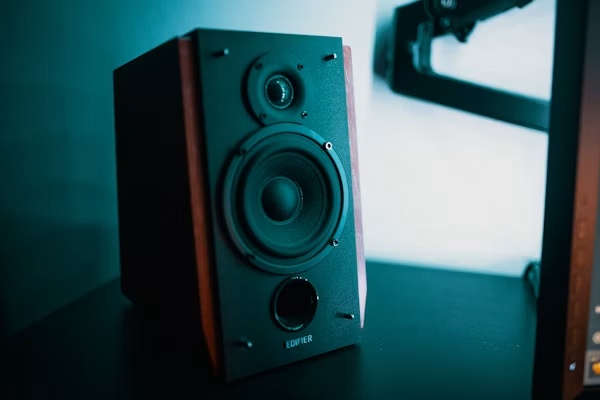 Professional Speakers